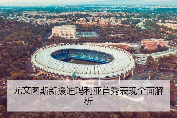 尤文图斯新援迪玛利亚首秀表现全面解析
